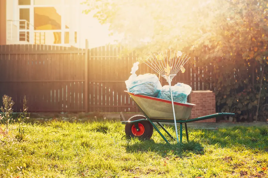 The Importance Of Regular Yard Maintenance For Healthier Lawns in Mesquite, TX The Importance Of Regular Yard Maintenance For Healthier Lawns in Mesquite, TX